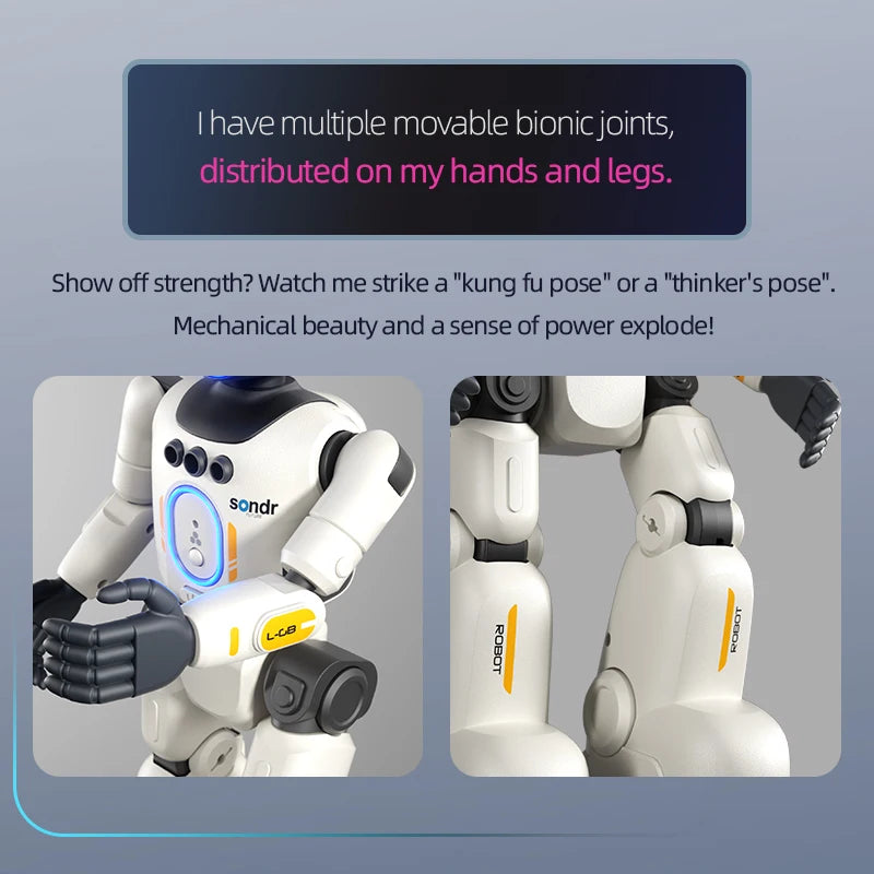 2026 Smart Programming Gesture Sensing Remote Control Robot 2.4G Joint Mobility Breathing Light Recording Function RC Robot New