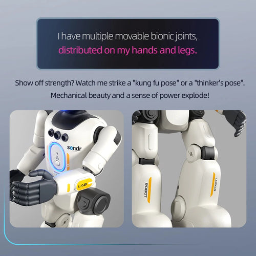 2026 Smart Programming Gesture Sensing Remote Control Robot 2.4G Joint Mobility Breathing Light Recording Function RC Robot New