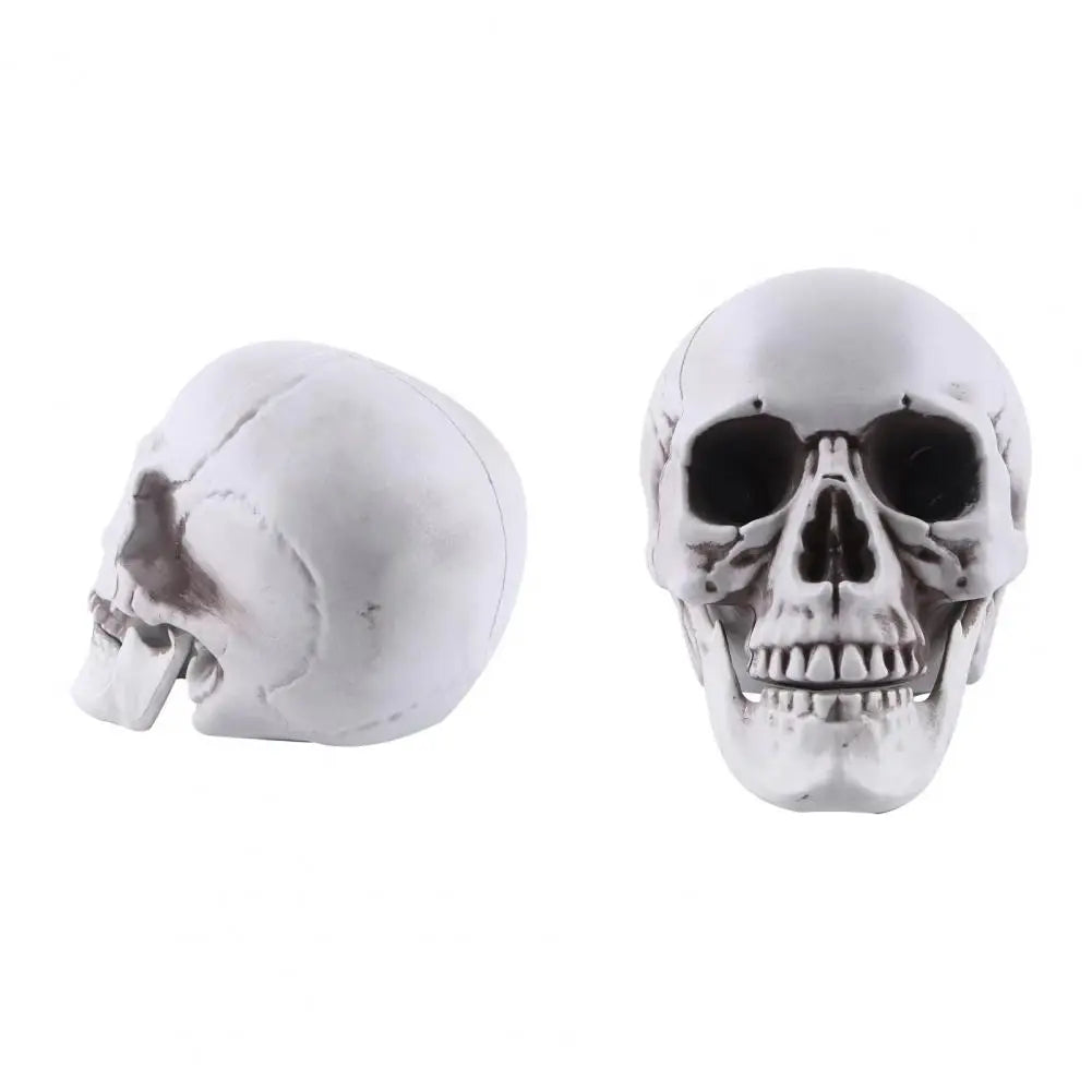 Life Size Human Skull Model Halloween Decor Skeleton Skull Realistic Human Adult Skull Head Bone Model Graveyard Outdoor Decor