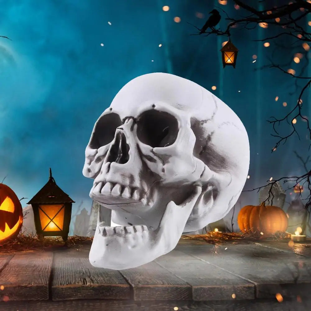 Life Size Human Skull Model Halloween Decor Skeleton Skull Realistic Human Adult Skull Head Bone Model Graveyard Outdoor Decor