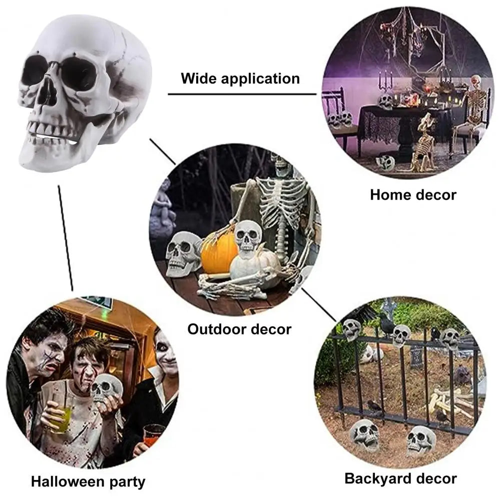 Life Size Human Skull Model Halloween Decor Skeleton Skull Realistic Human Adult Skull Head Bone Model Graveyard Outdoor Decor