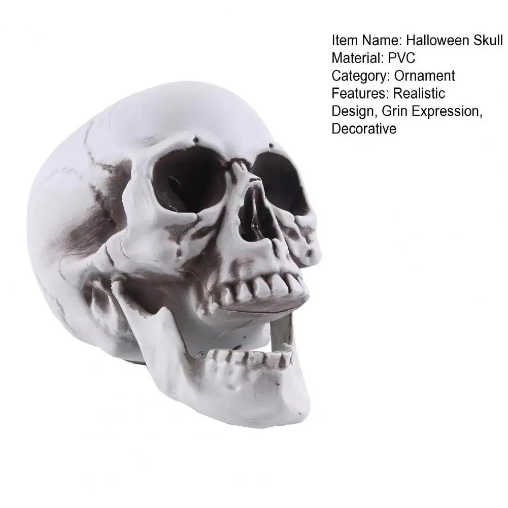 Life Size Human Skull Model Halloween Decor Skeleton Skull Realistic Human Adult Skull Head Bone Model Graveyard Outdoor Decor